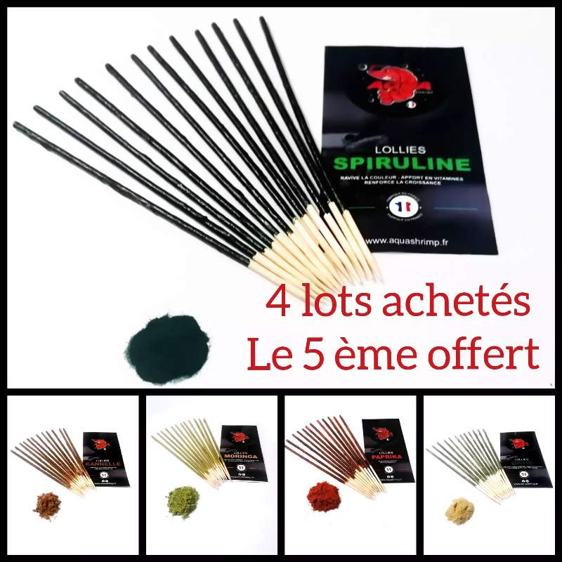 Lollies pour crevettes aquarium