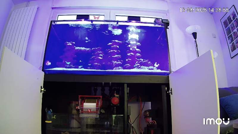 Red Sea Reefer MAX 425 G2