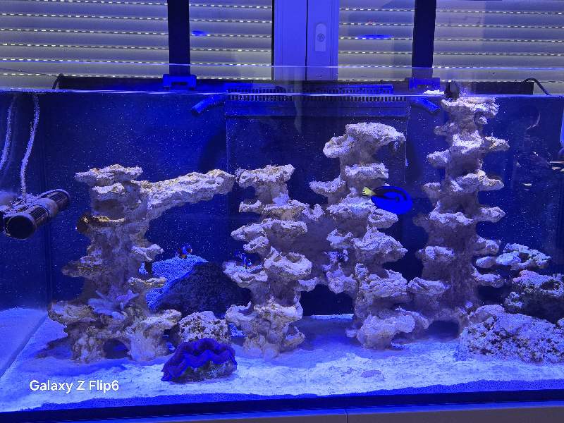 Red Sea Reefer MAX 425 G2