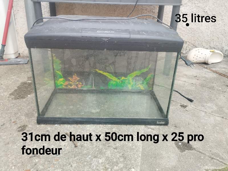 Aquarium 35l cayman