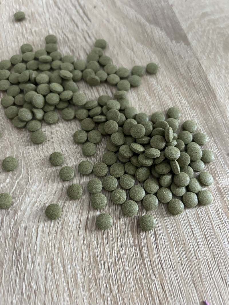 Pastilles de fond 