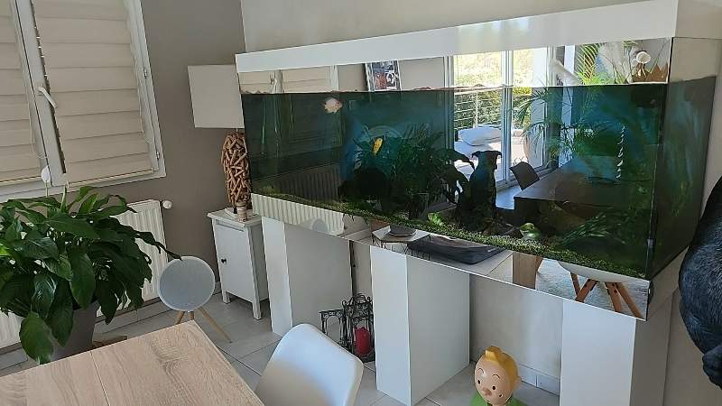 Aquarium 1000litres 
