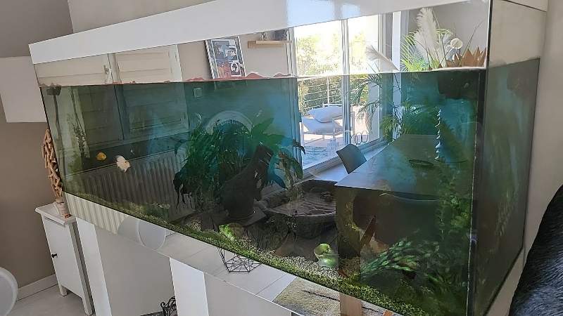 Aquarium 1000litres 