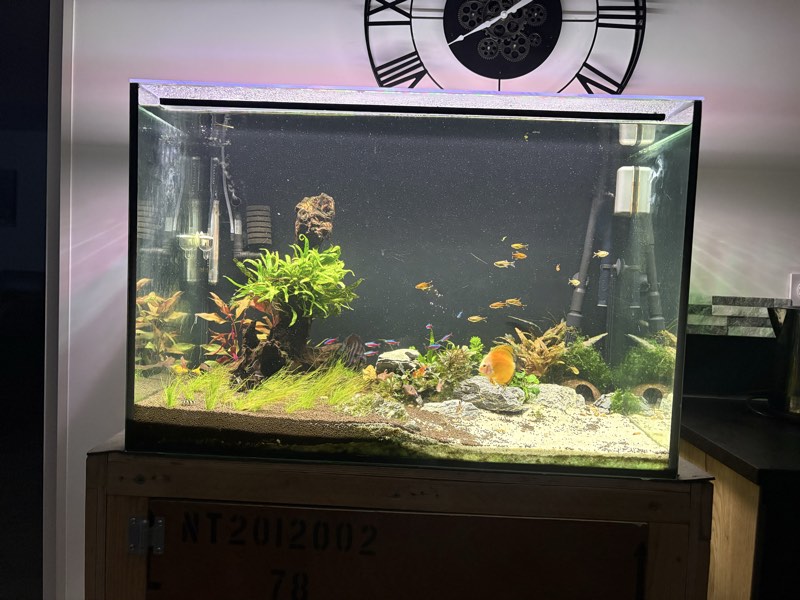 Cuve nue ou avec matériel de 300L