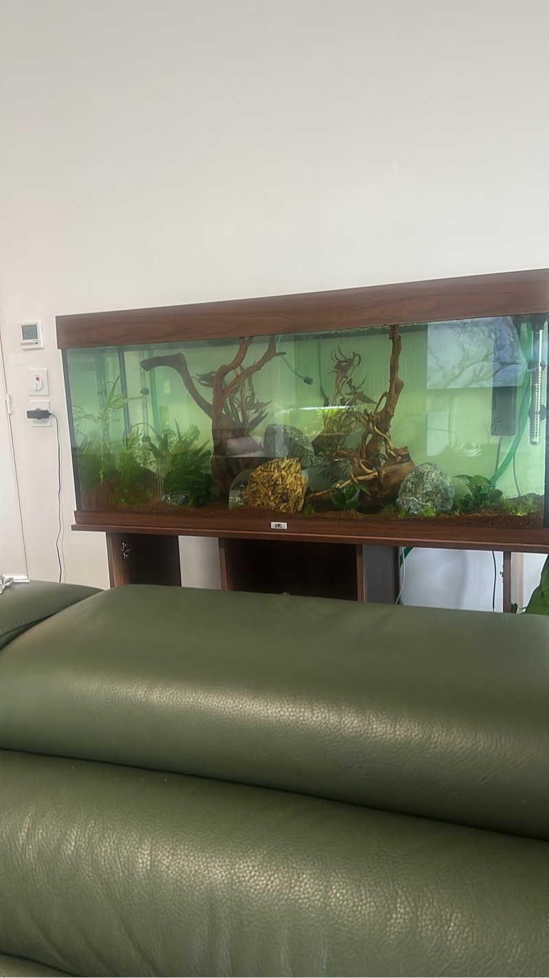 Aquarium juwell avec meuble