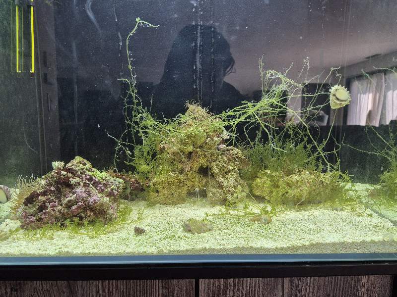 Aquarium neuf