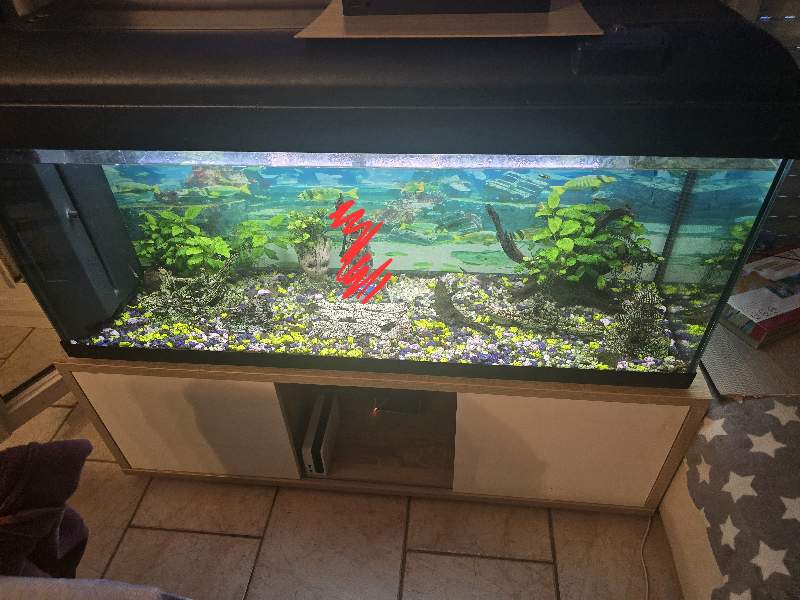 Aquarium 300L