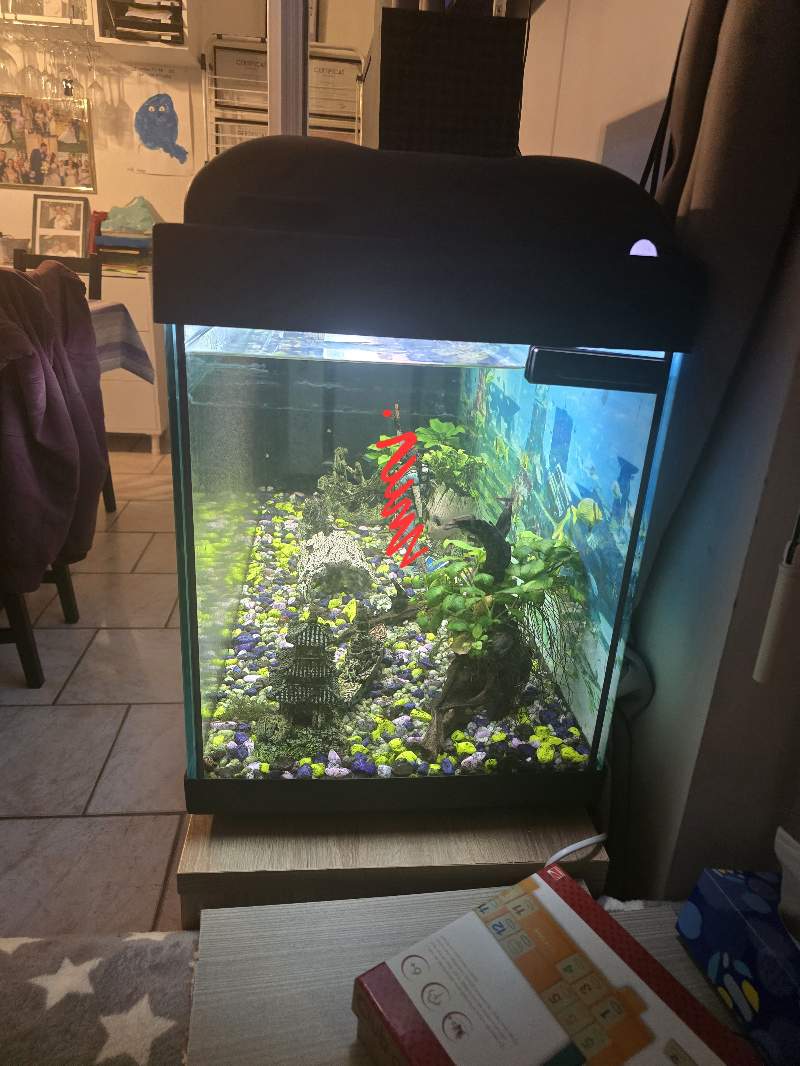 Aquarium 300L