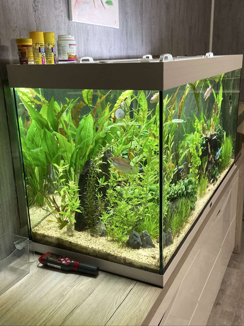 Aquarium Aquatlantis Volga 350 blanc