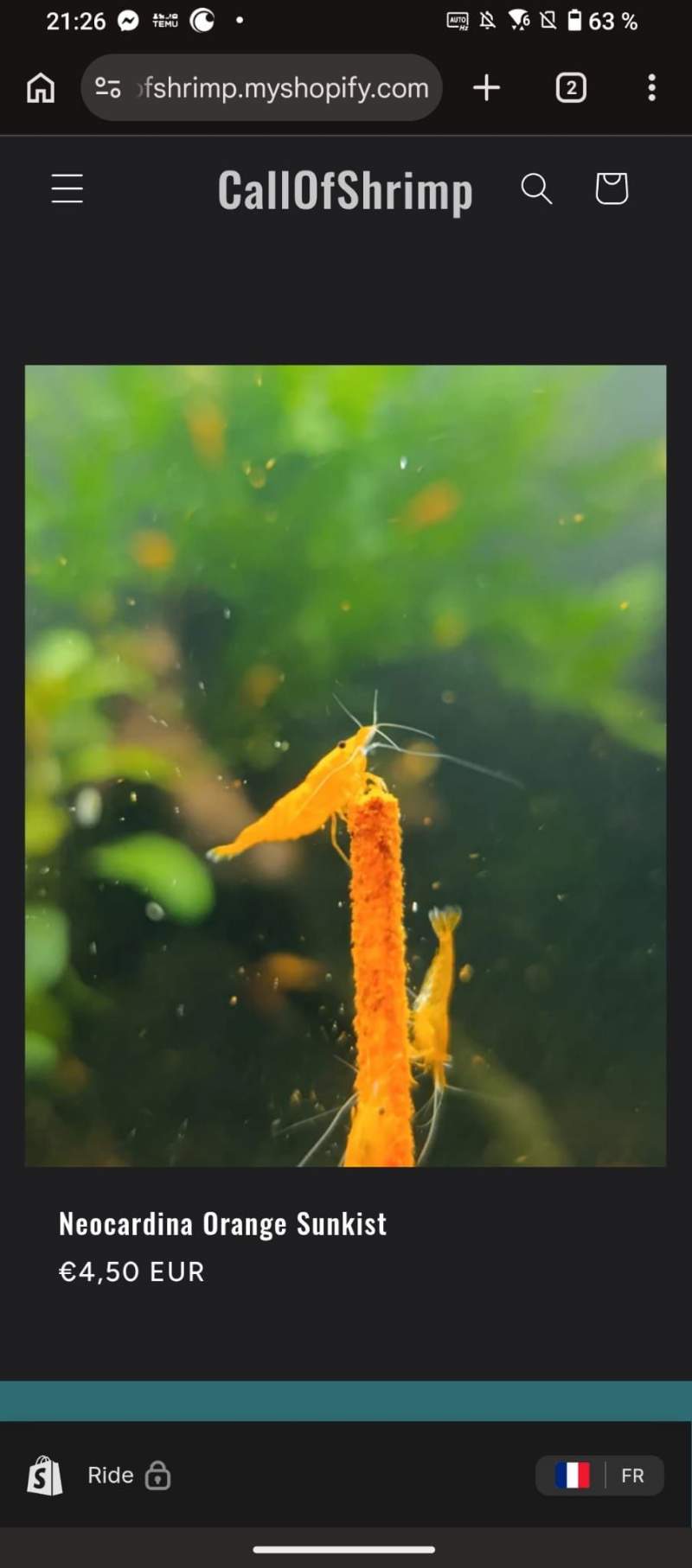 Neocardina orange sunkist