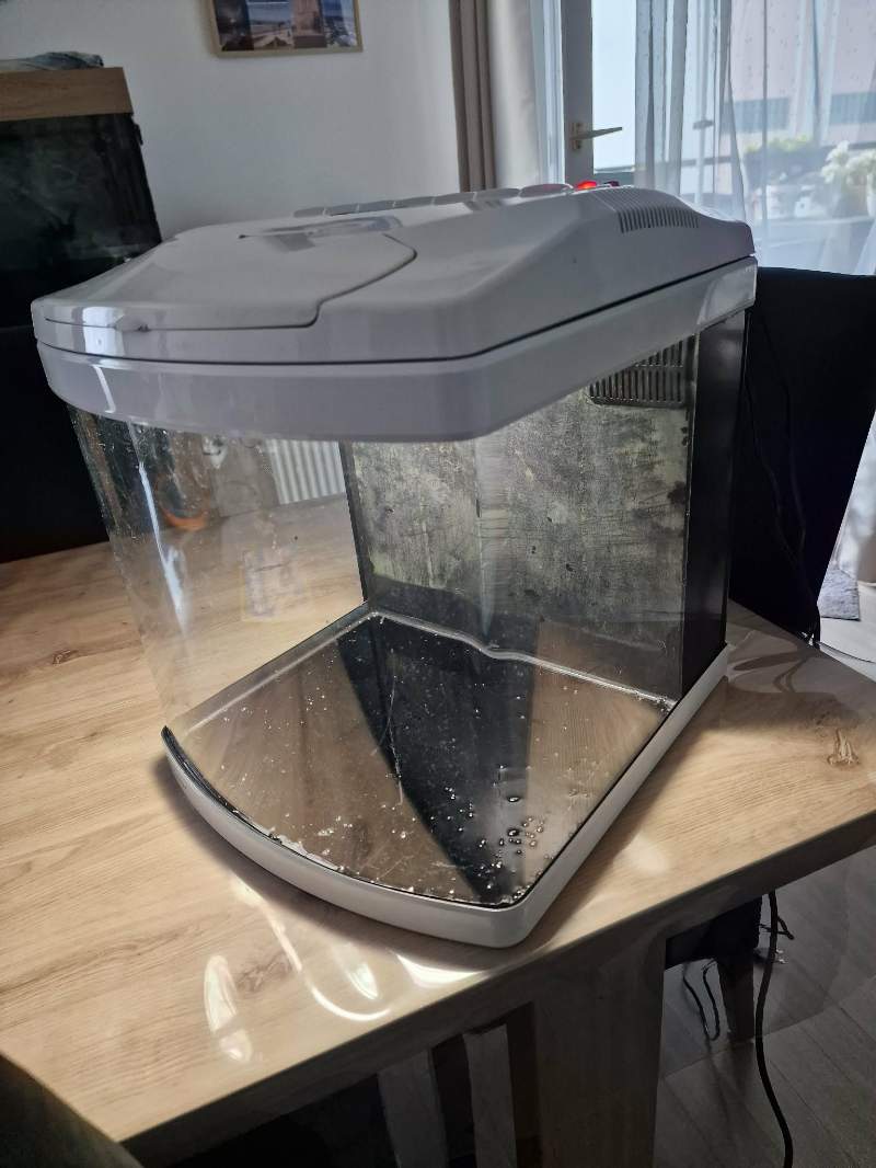 Aquarium 