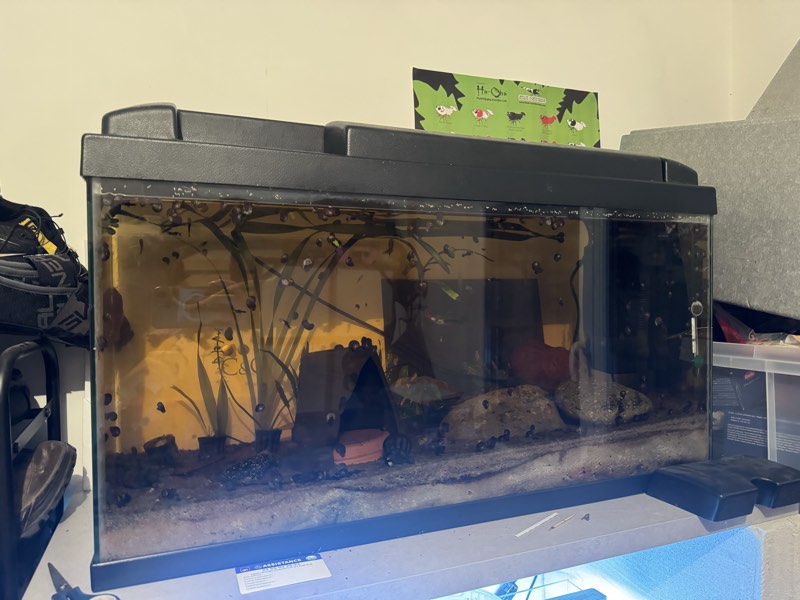 Aquarium 100l