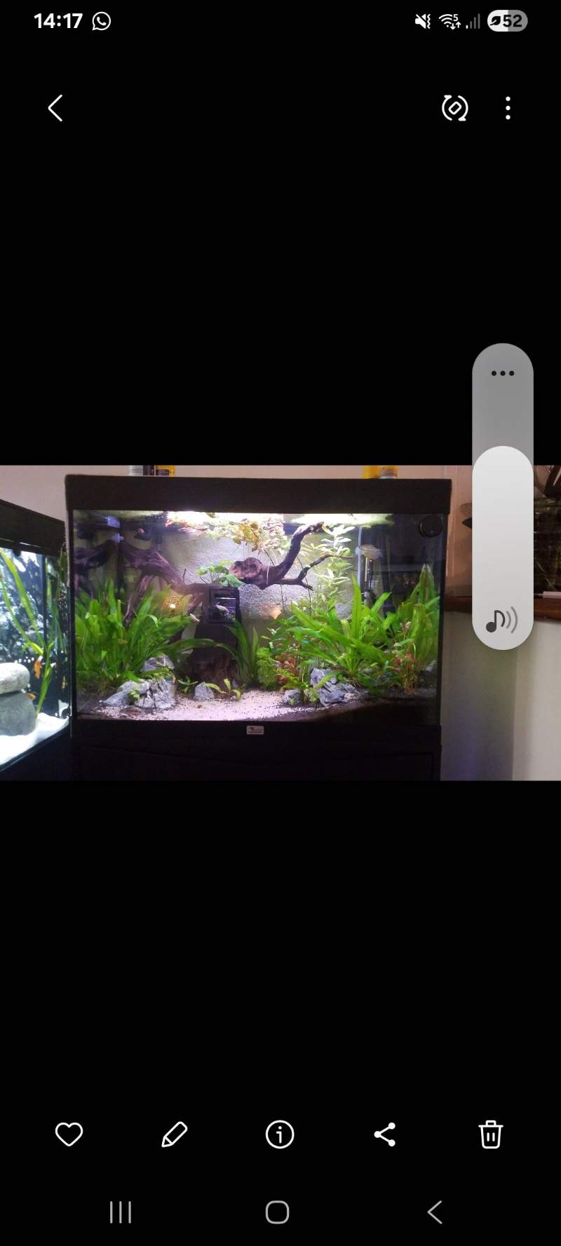 Aquariums