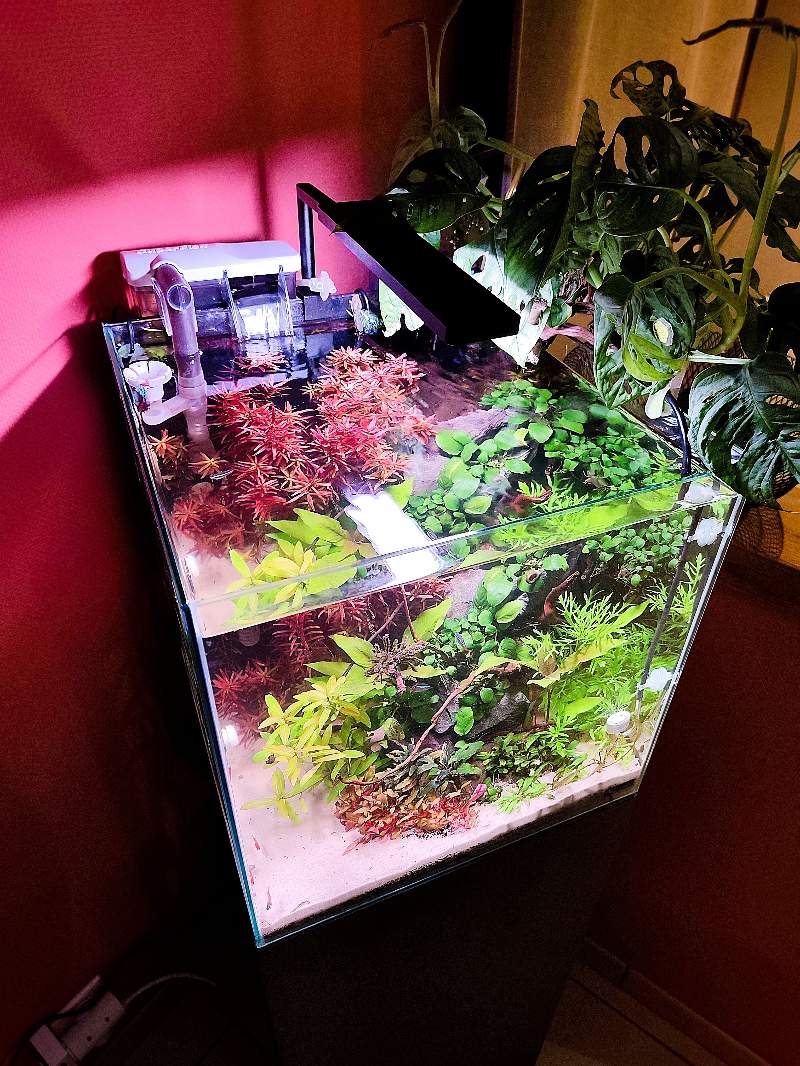 Nano aquarium 
