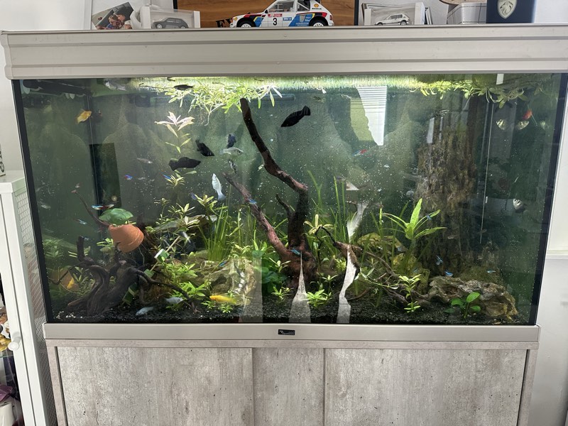 Aquarium Complet 220L 