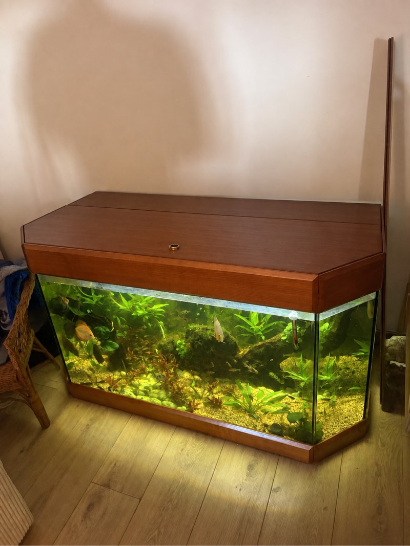Aquarium 460l