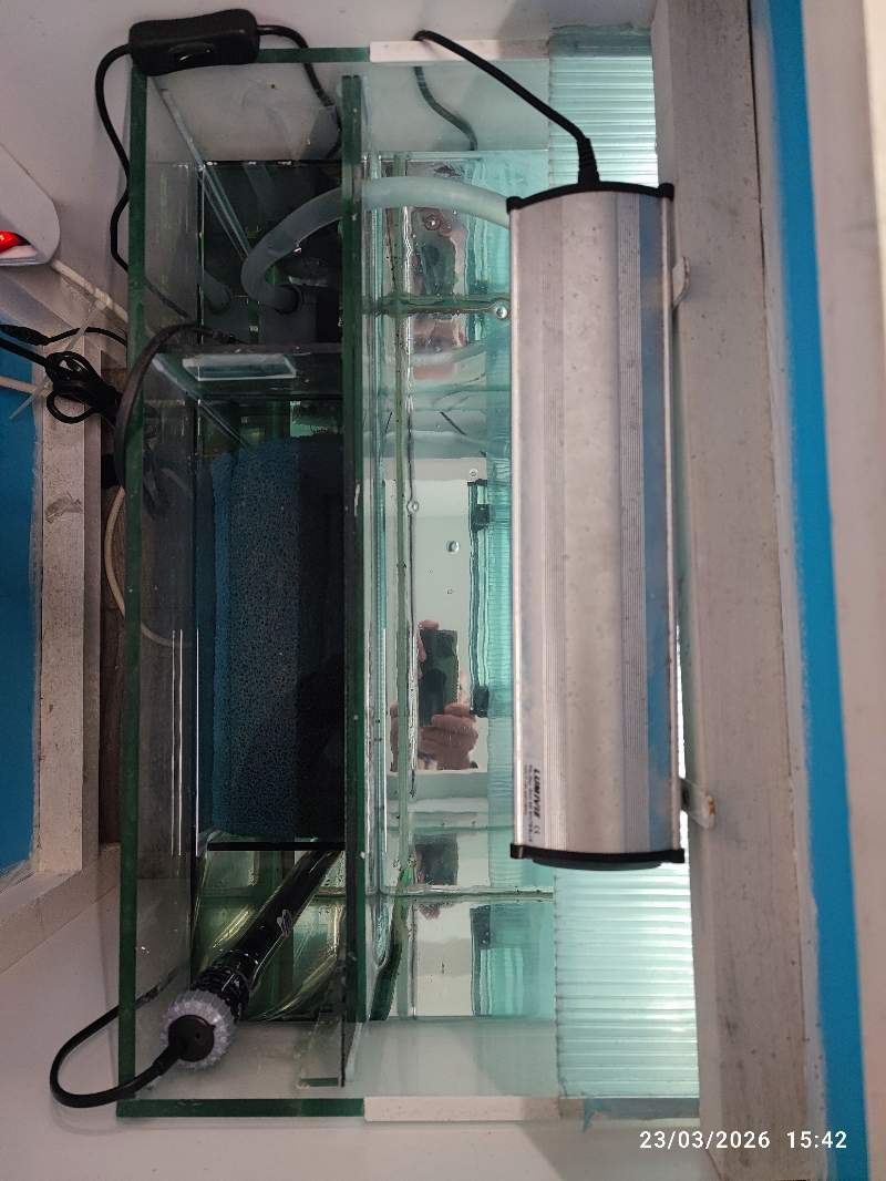 Aquarium sur mesure  complet 